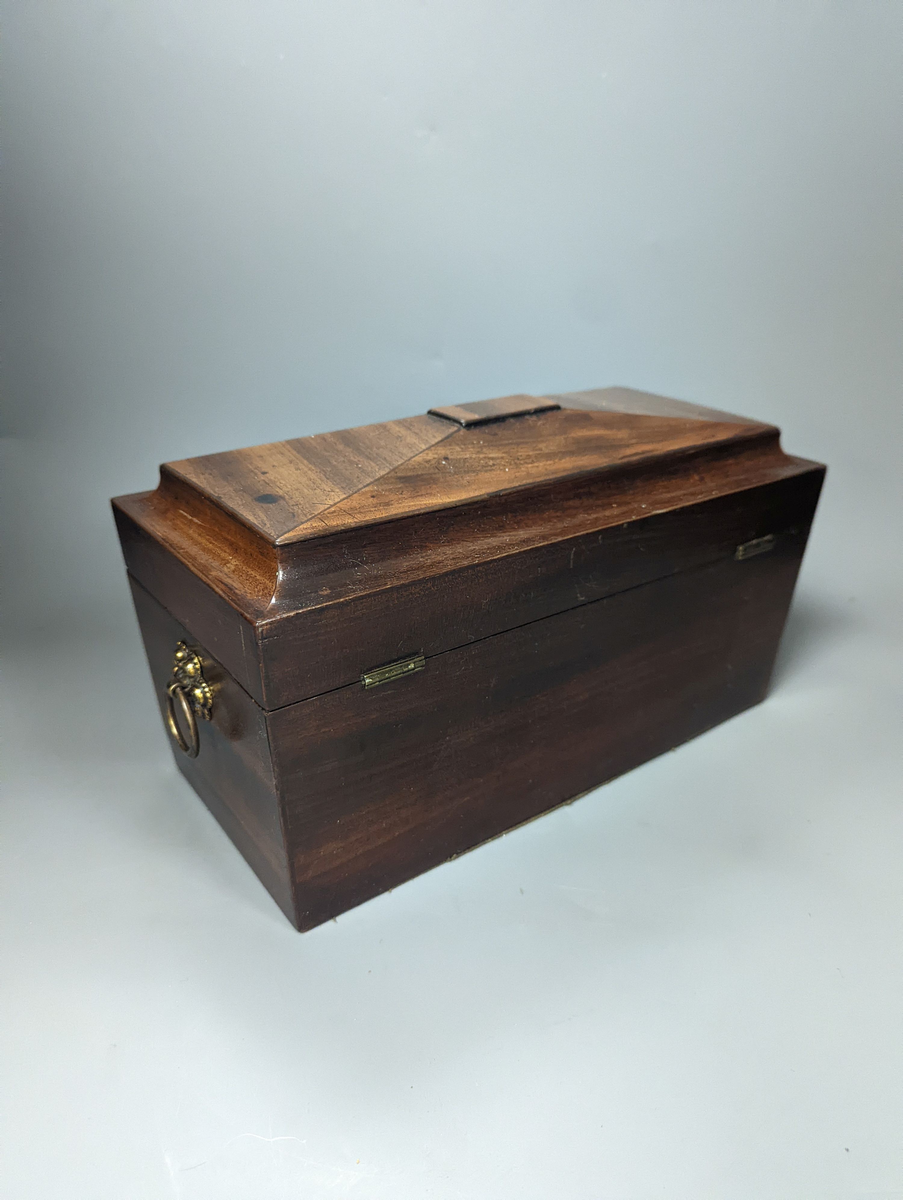 A 19th century mahogany tea caddy and a walnut 2 door smokers cabinet, Smokers cabinet 33 cms high.